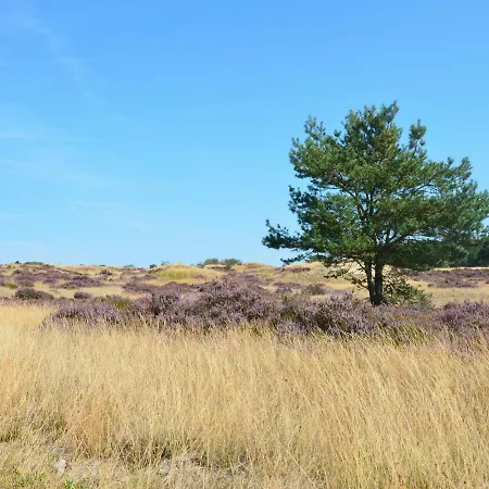 Boutique Holiday In Guelders With Garden בית נופש פוטן